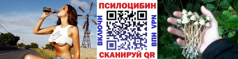 продажа наркотиков  Алдан  omg ссылка  Псилоцибиновые грибы мухоморы 